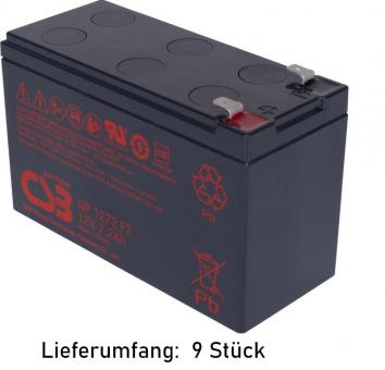 Ersatzbatterie für Riello Dialog Dual DLD400 